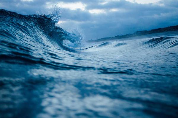 公司将参加2018第十八届中国国际电机博览会暨发展论坛